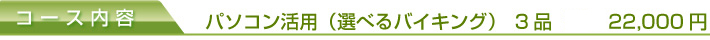 パソコン活用　20,000円